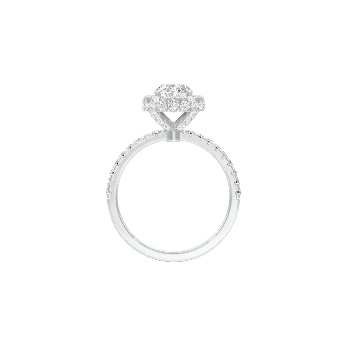 DLR001465 18 KT / White Gold / 22