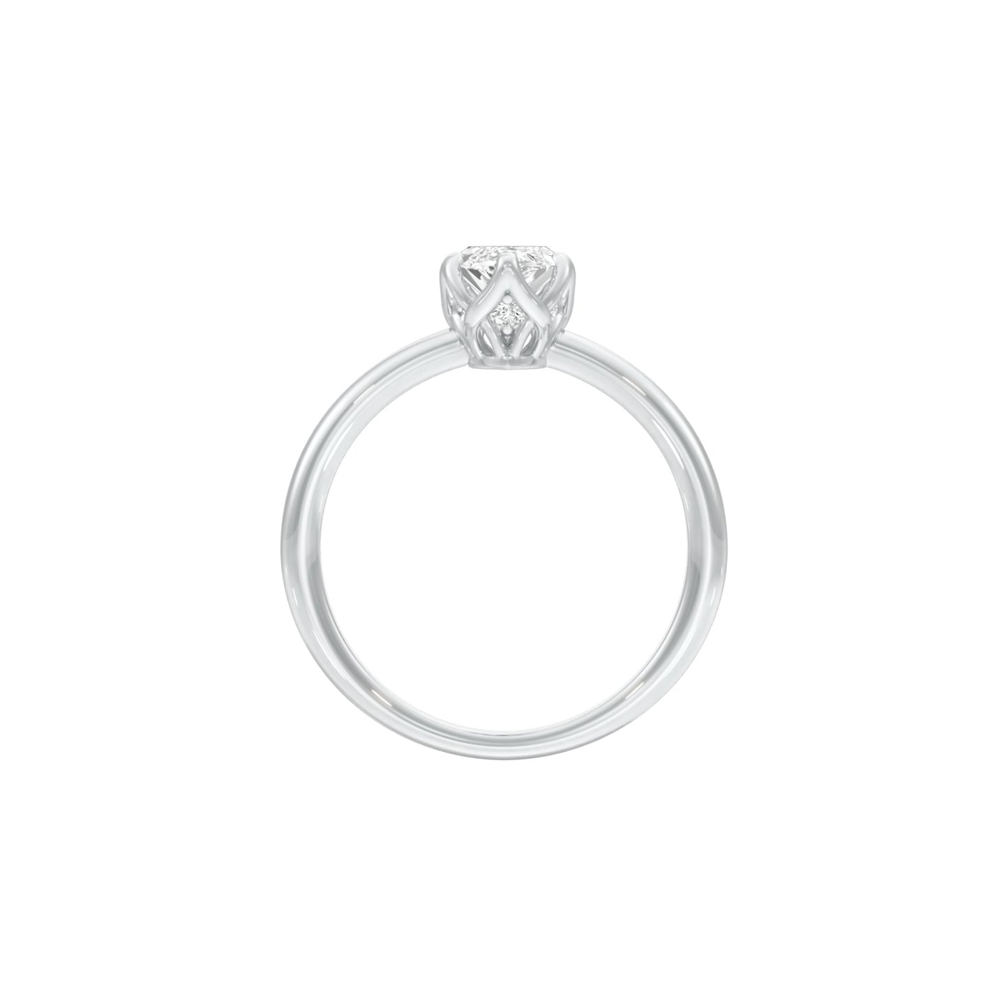 DLR001519 18 KT / White Gold / 22