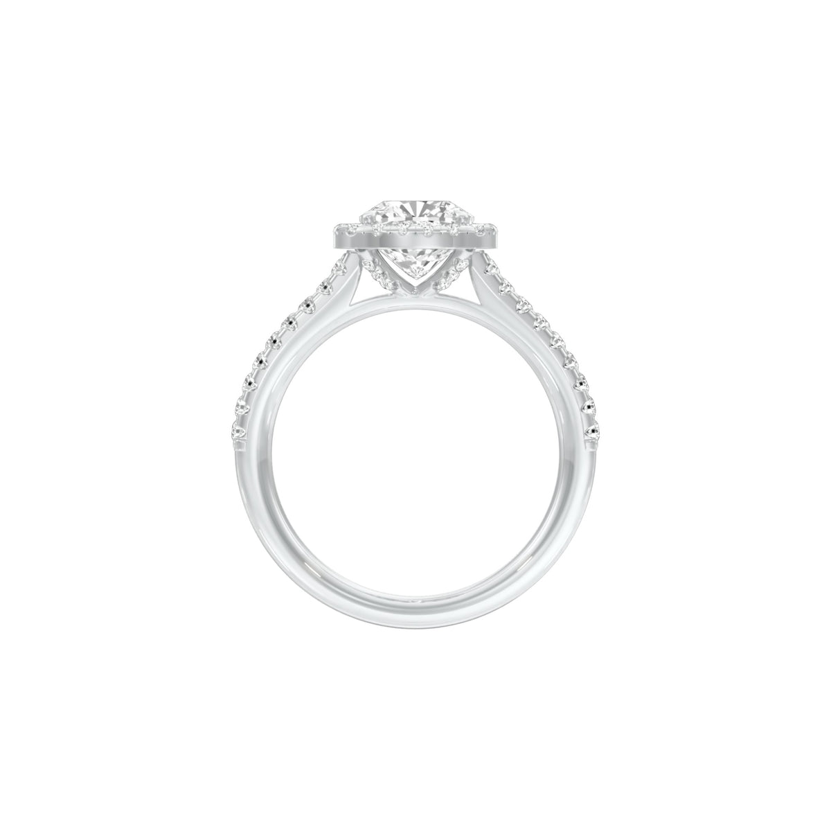 DLR001531 18 KT / White Gold / 22