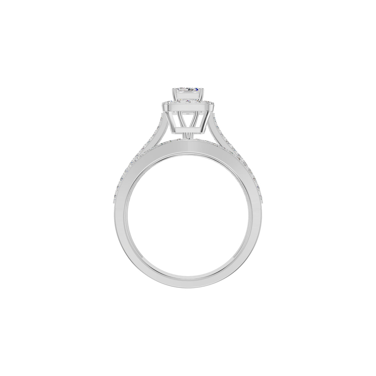 DLR002254 18 KT / White Gold / 18