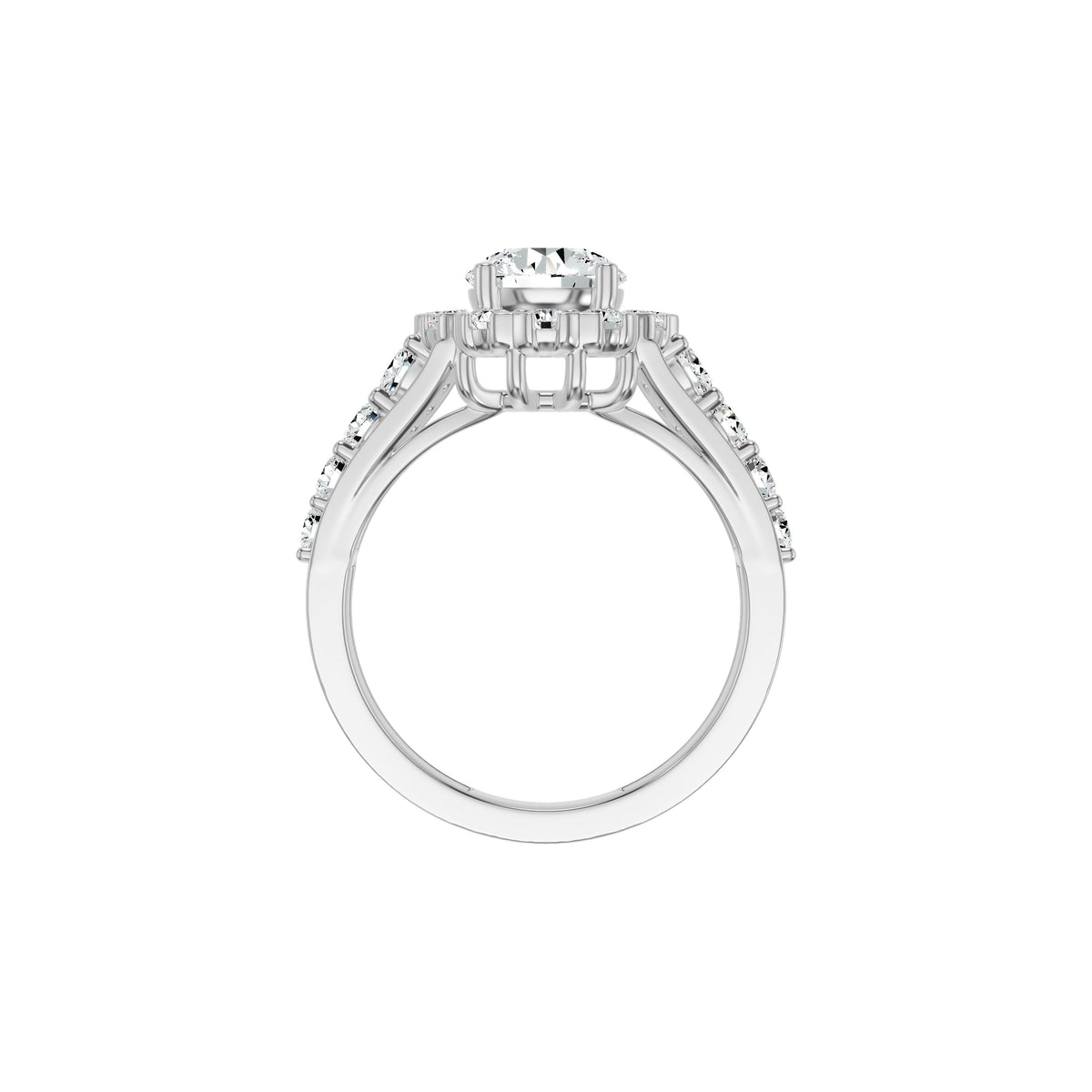 DLR002831 18 KT / White Gold / 18