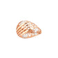 Orvella Lattice Dome Gold Ring