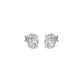 Sparkling Serendipity Diamond Bloom Earrings 18 KT / White Gold