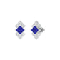 Cobalt Blue Diamond Earrings 9 KT / White Gold
