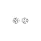 The Bonded Diamond Earrings 18 KT / White Gold