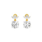 Crystal Creek Diamond Drop Earrings 18 KT / Yellow Gold