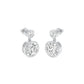 Tiny Treasures Diamond Drop Earrings 18 KT / White Gold