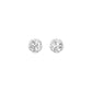 GoldBloom Diamond Stud Earrings 18 KT / White Gold