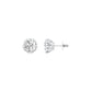 GoldBloom Diamond Stud Earrings 18 KT / White Gold