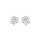 Midnight Bloom Diamond Stud Earrings 18 KT / White Gold