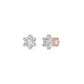 DER001354 18 KT / Rose Gold