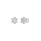 DER001354 18 KT / White Gold