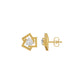 Divine Floreta Diamond Earrings 18 KT / Yellow Gold