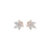 DER001440 18 KT / Rose Gold