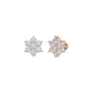 DER001467 18 KT / Rose Gold