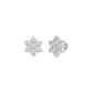 DER001467 18 KT / White Gold