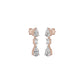 DER001468 18 KT / Rose Gold