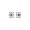 DER001476 18 KT / Yellow Gold