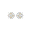 DER001636 18 KT / Yellow Gold
