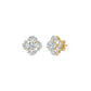 DER001652 18 KT / Yellow Gold