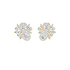 DER001660 18 KT / Yellow Gold