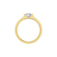DGR001073 18 KT / Yellow Gold / 24