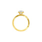 DLR000030 18 KT / Yellow Gold / 22