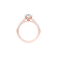 DLR000080 18 KT / Rose Gold / 22