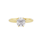 Opulent Odyssey Diamond Ring