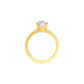 DLR000565 18 KT / Yellow Gold / 22