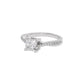 Tranquil Tides Diamond Ring 18 KT / White Gold / 22