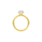 DLR000706 18 KT / Yellow Gold / 22
