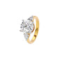 Graceful Garland Diamond Ring 18 KT / Yellow Gold / 22