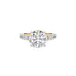 Timeless Tranquility Diamond Ring 18 KT / Yellow Gold / 22