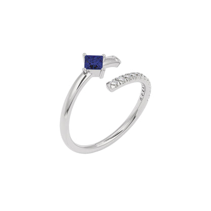 DLR001371 18 KT / White Gold / 22