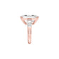 17 Carats of Royalty Diamond Ring