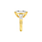 17 Carats of Royalty Diamond Ring