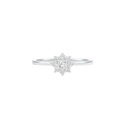 DLR001424 18 KT / White Gold / 22