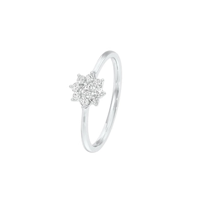DLR001424 18 KT / White Gold / 22