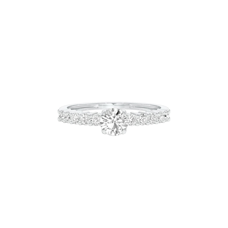 DLR001432 18 KT / White Gold / 22