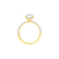 DLR001456 18 KT / Yellow Gold / 22