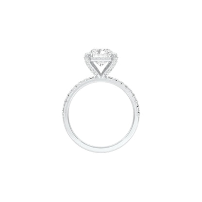 DLR001457 18 KT / White Gold / 22