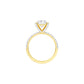 DLR001457 18 KT / Yellow Gold / 22