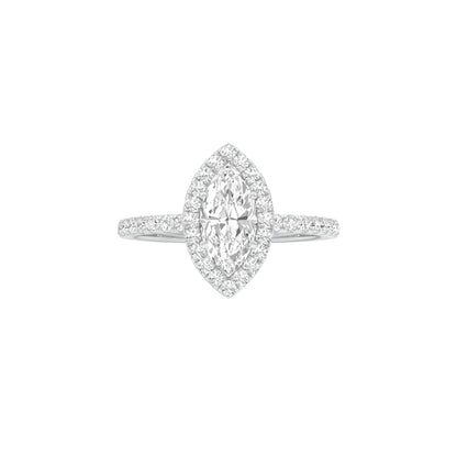DLR001459 18 KT / White Gold / 22