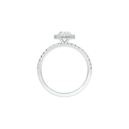 DLR001459 18 KT / White Gold / 22