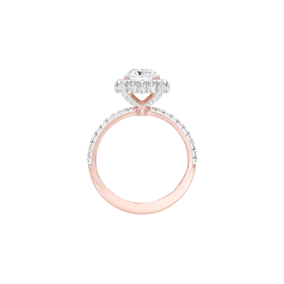 DLR001463 18 KT / Rose Gold / 22