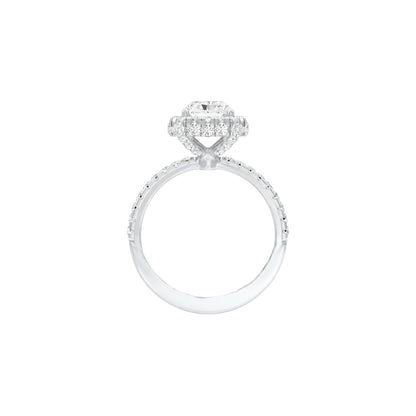 DLR001463 18 KT / White Gold / 22