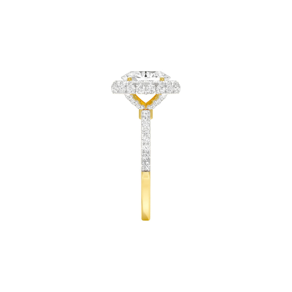 DLR001465 18 KT / Yellow Gold / 22