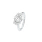 DLR001467 18 KT / White Gold / 22