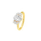 DLR001467 18 KT / Yellow Gold / 22